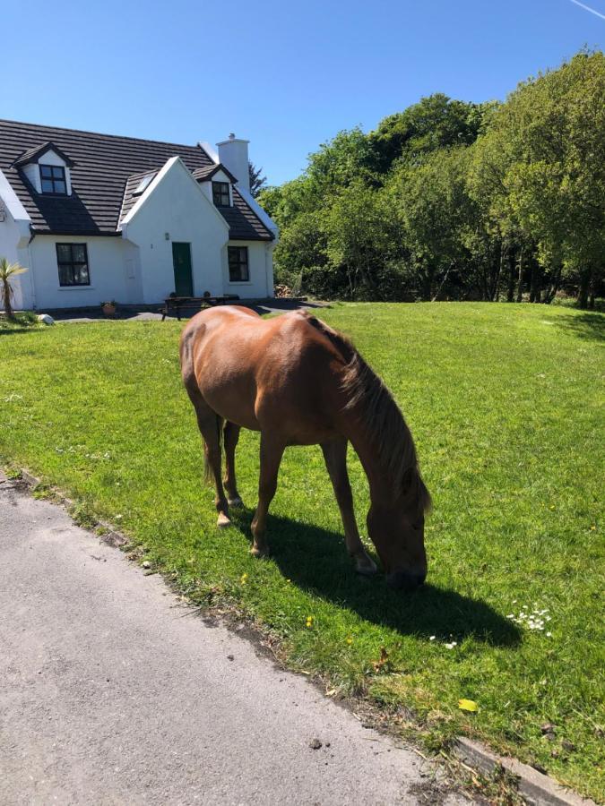 Ardnagreevagh House With Sea Views Close To Beach With Wifi And Large Kitchen And Dining מראה חיצוני תמונה